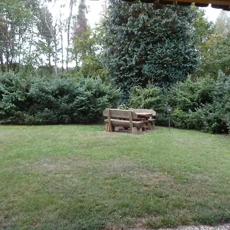 Kurparkblick Hohegeiß