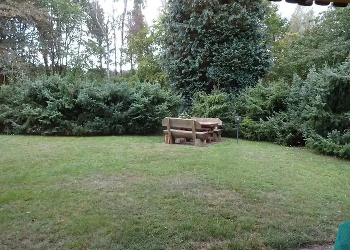 Kurparkblick Hohegeiß